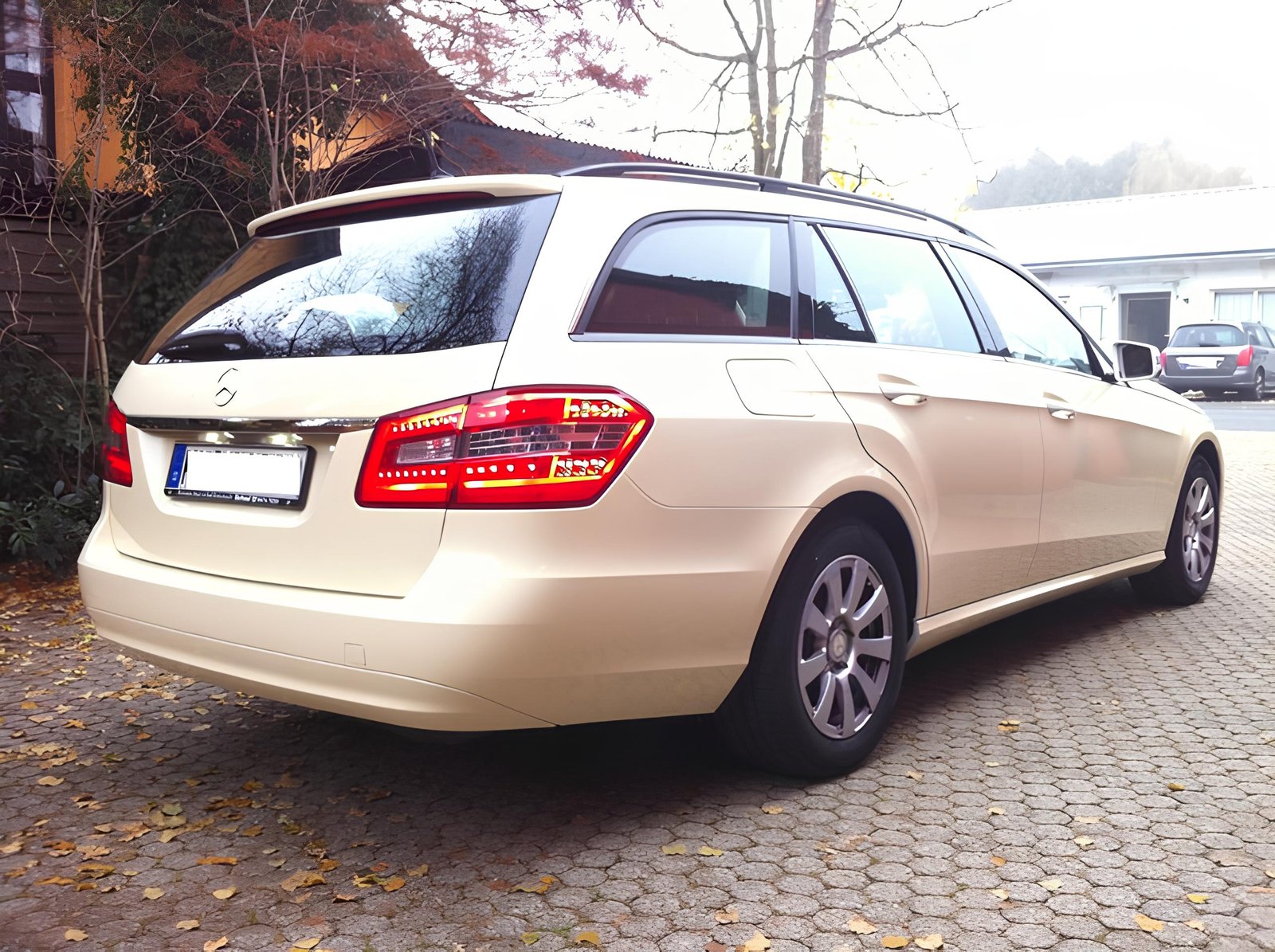 KPMF K88823 – Beige Brillant